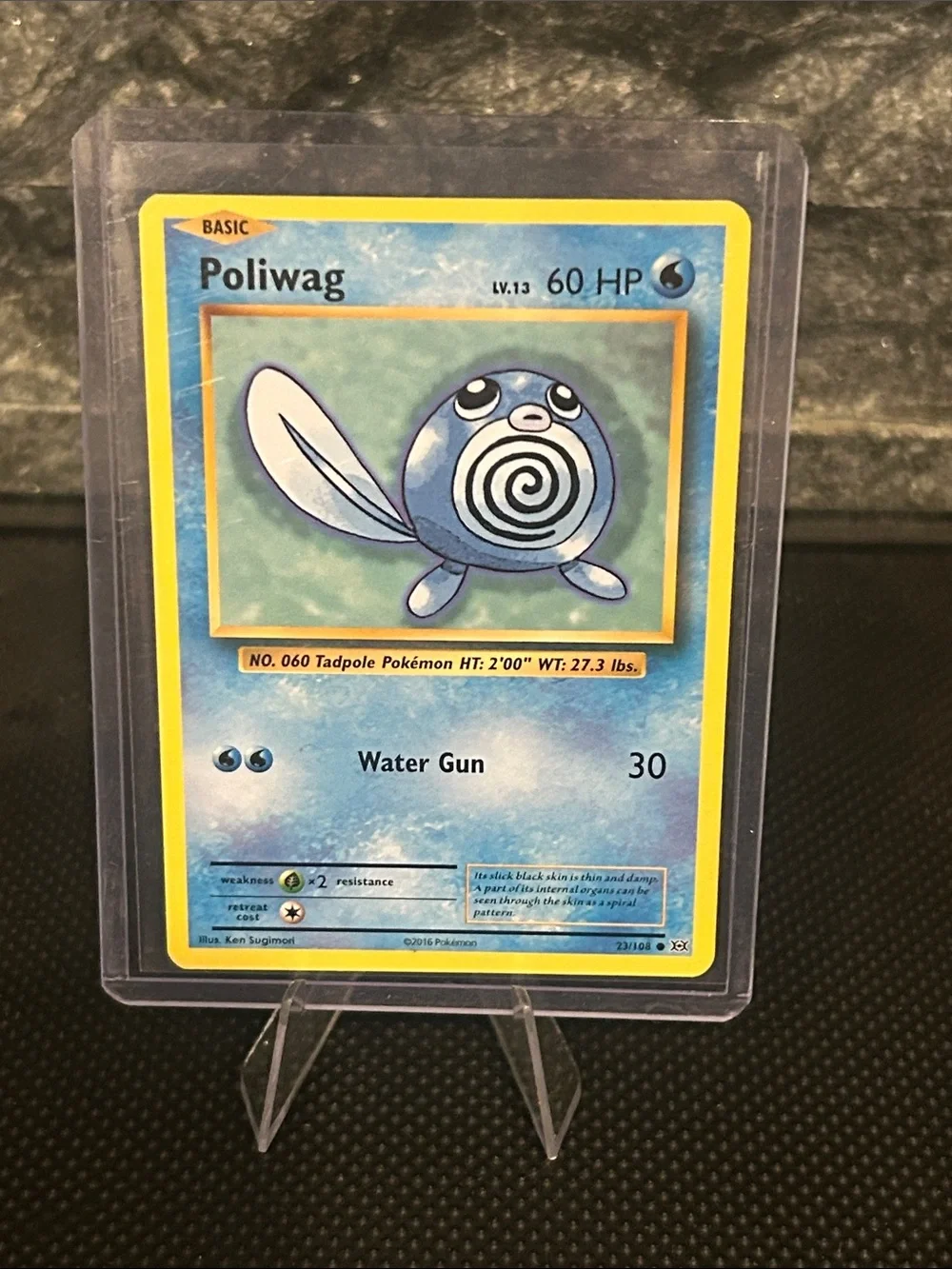 Pokémon Poliwag 23/108 Non-Holo from XY‎ Evolutions Set Vintage (2016) M/NM